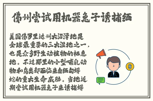 免费看黄软件
